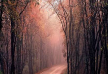 开云体育中国-京门烽火燃，津卫磨刃急！北京男篮VS天津先行者：狭路相逢勇者胜