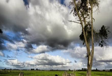 开云体育-波兰乒乓球队力克日本乒乓球队，王皓惊艳世界