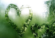 开云APP-波兰乒乓球队碾压日本队，张本智和再现巅峰风采