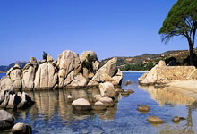 开云体育登录-掘金绝杀澳大利亚男篮，哈登爆发神勇——篮球场上的生死瞬间