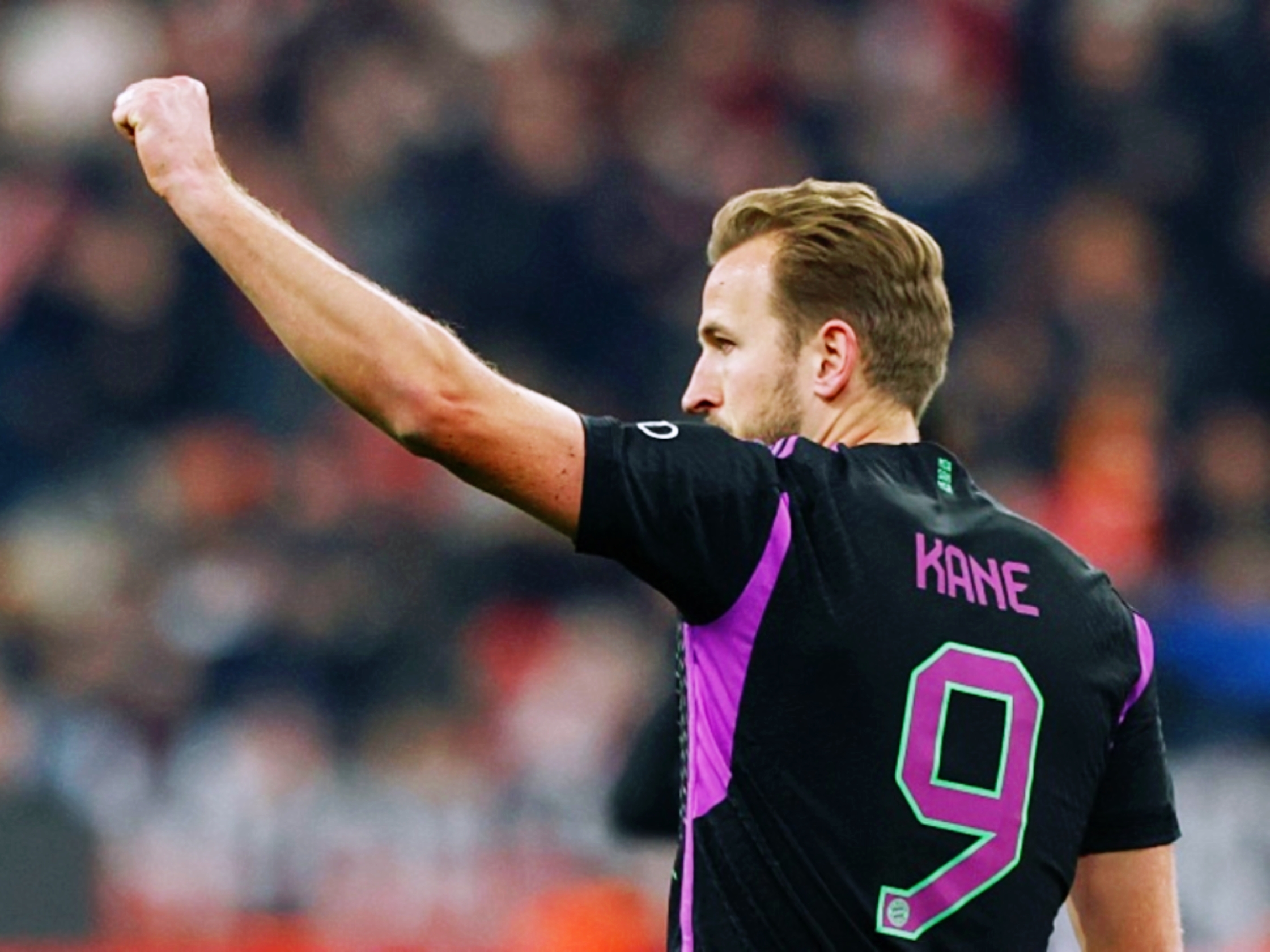 开云体育入口-波黑和保加利亚展开激烈较量，谁能笑到最后的简单介绍