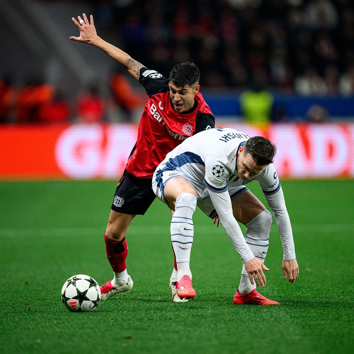 开云体育官网-勒沃库森继续失球不胜，欧战希望渺茫的简单介绍