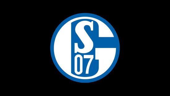 开云体育app-沙尔克遭遇连败，告别欧战梦想渐行渐远的简单介绍