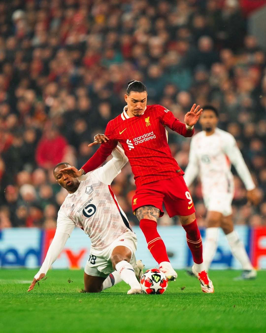 开云下载-利物浦胜曼城，冲刺欧冠决赛的简单介绍