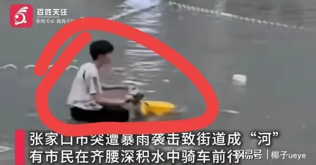 关于竞技风波!球场上发生不测,胜利成谜的信息 关于竞技风波!球场上发生不测,胜利成谜的信息