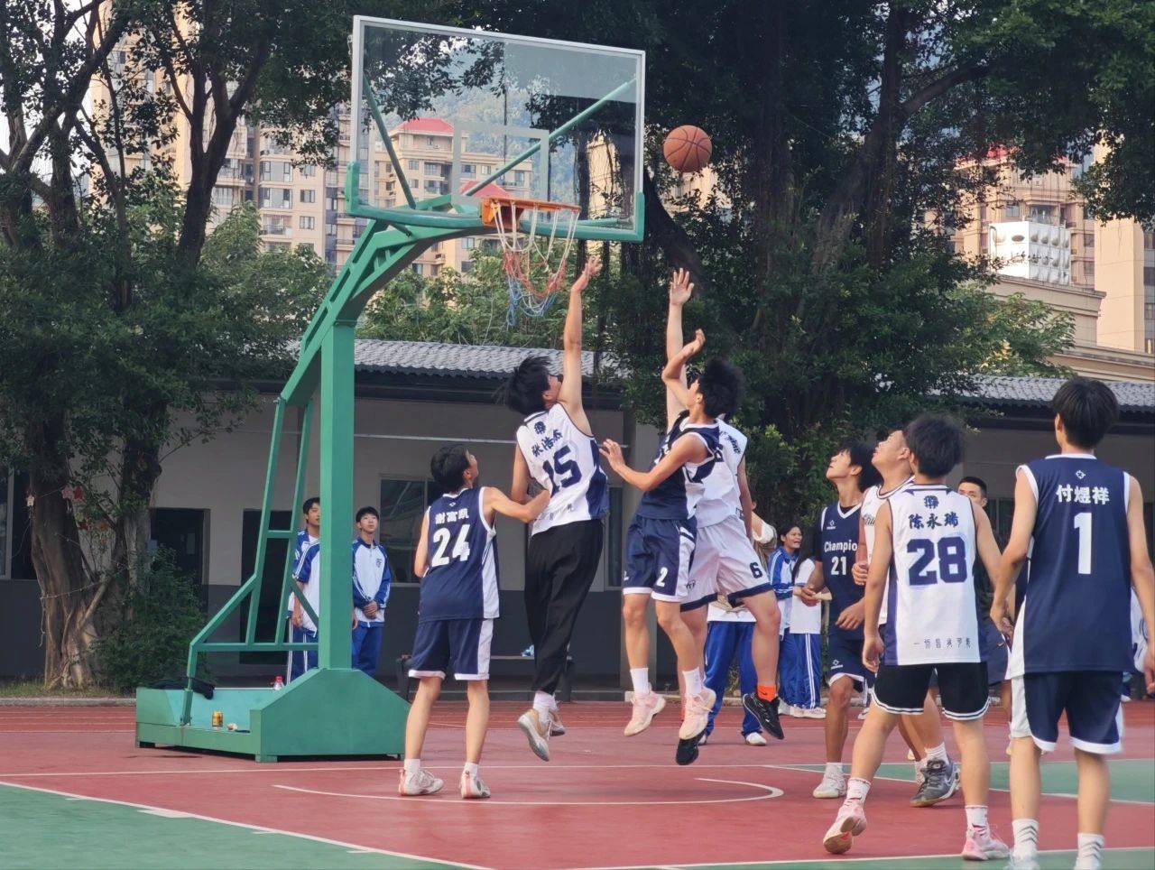 开云体育入口-篮球明星尽展才华，场上尽显风采的简单介绍