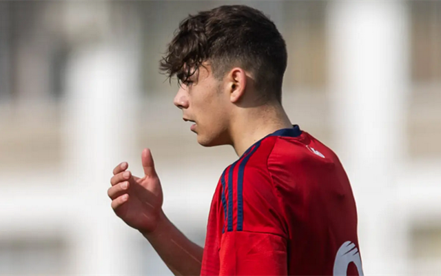 开云体育中国-关于西甲升班马表现不俗，占据积分榜前列！的信息