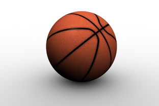 开云平台-帕尔梅拉斯球迷现场助威，激发球队夺冠斗志