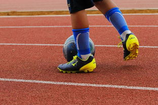 开云APP-塔斯马尼亚联技战术演练密集，冲刺冠军全力以赴