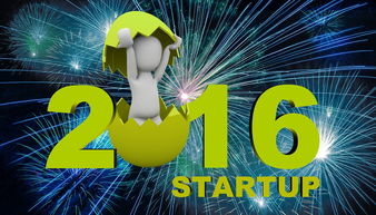 开云体育入口-西雅图海湾者小将表现抢眼，劲旅添新力量