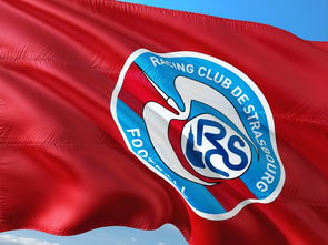 开云体育在线-帕尔梅拉斯主帅强调比赛节奏，冲击世俱杯冠军信心足