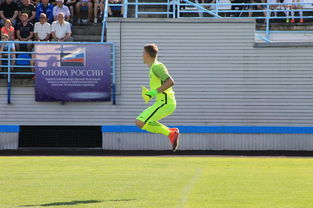 开云官网-帕尔梅拉斯主场氛围火爆，球迷热情助阵