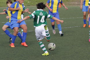 开云体育app-西悉尼流浪者焦点战役引爆球迷期待