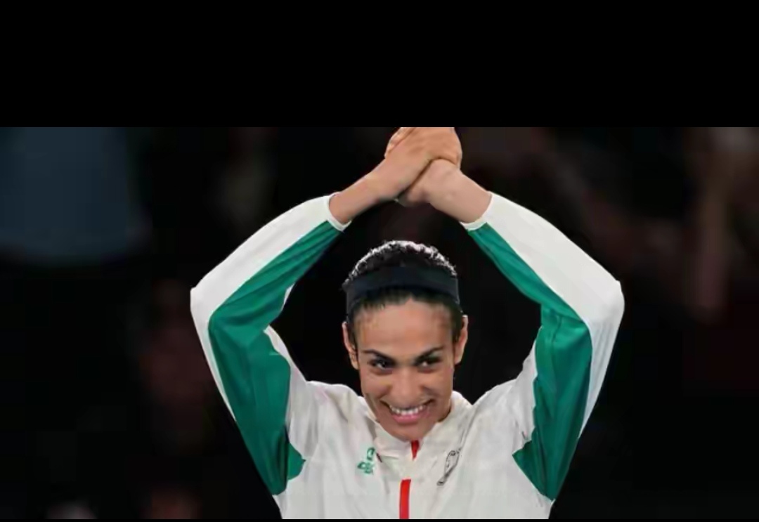 开云体育官方网站-阿尔及利亚选手在比赛中展现顶级技术的简单介绍